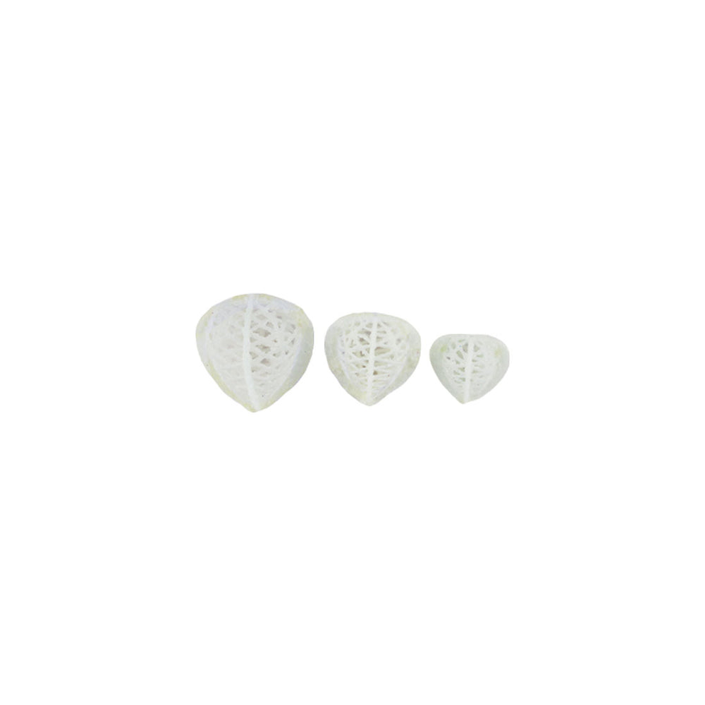 Glitter physalis loose white 3.5x4.5