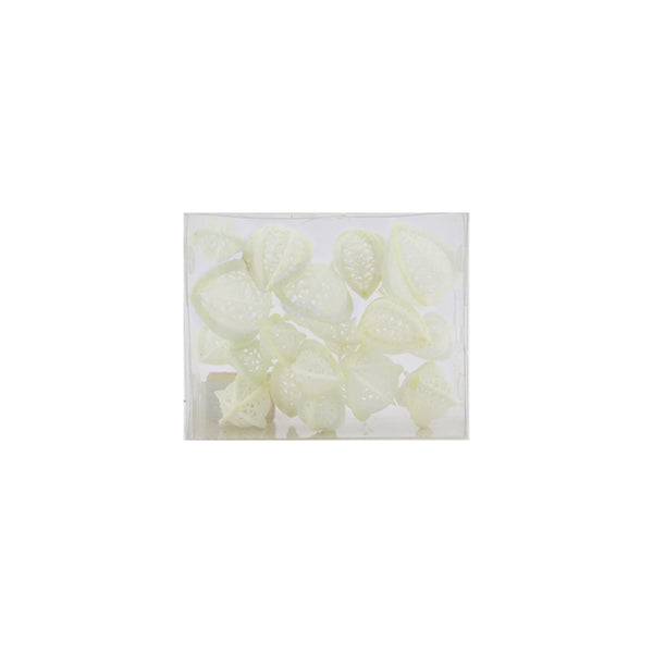 Glitter physalis loose white 3.5x4.5