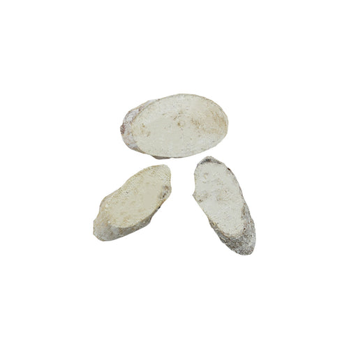 White Wood Disc (10cm)