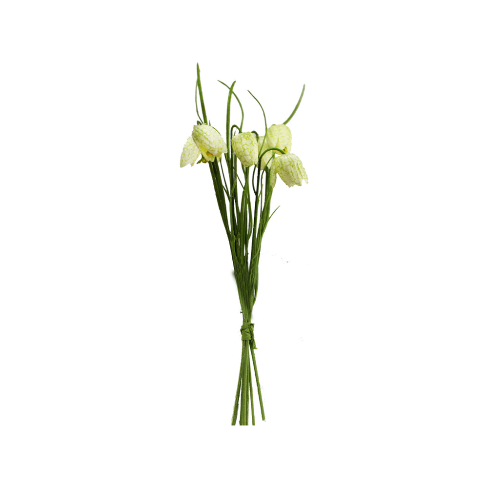 Cream Fritillaria