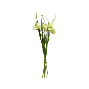 Cream Fritillaria