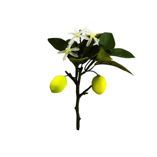 Yellow Lemon Tree Branch