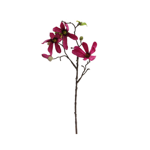 Dark Pink Magnolia