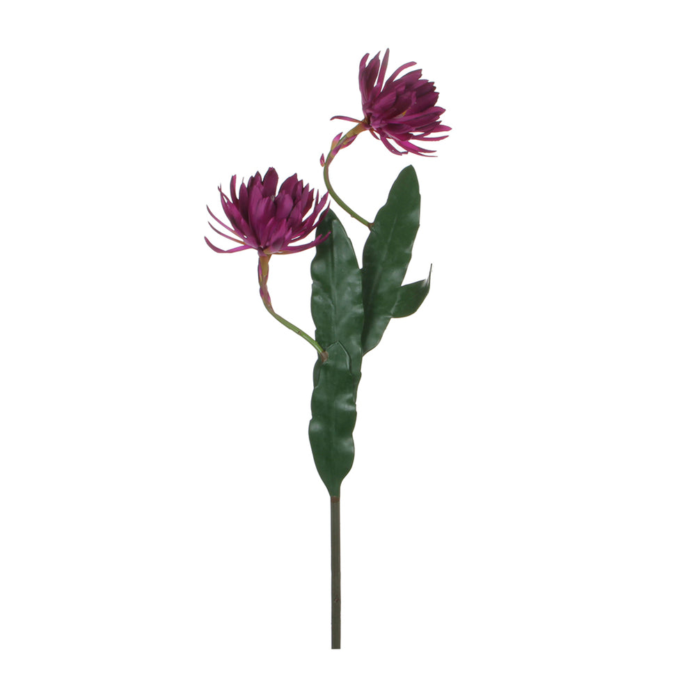 Purple Cactus Flower (120 cm)