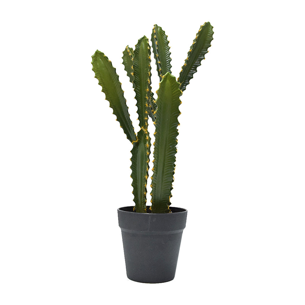 Green Cactus (57 cm)