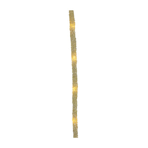 Rope Light 100 LED