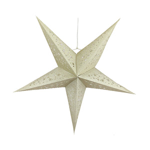 Champagne Glitter Star (56cm)