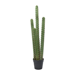 Green Cactus In Pot (114 cm)