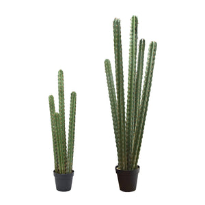 Green Cactus In Pot (114 cm)