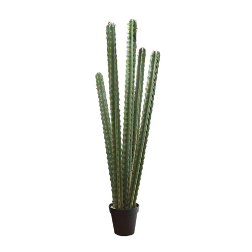 Green Cactus In Pot (180 cm)