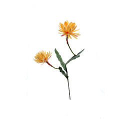 Orange Cactus Flower (120 cm)