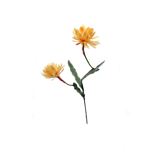 Orange Cactus Flower (120 cm)