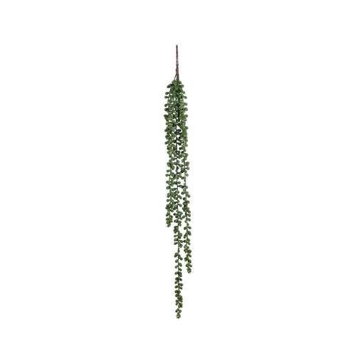 Artificial Hanging Senecio Plant (71 cm)