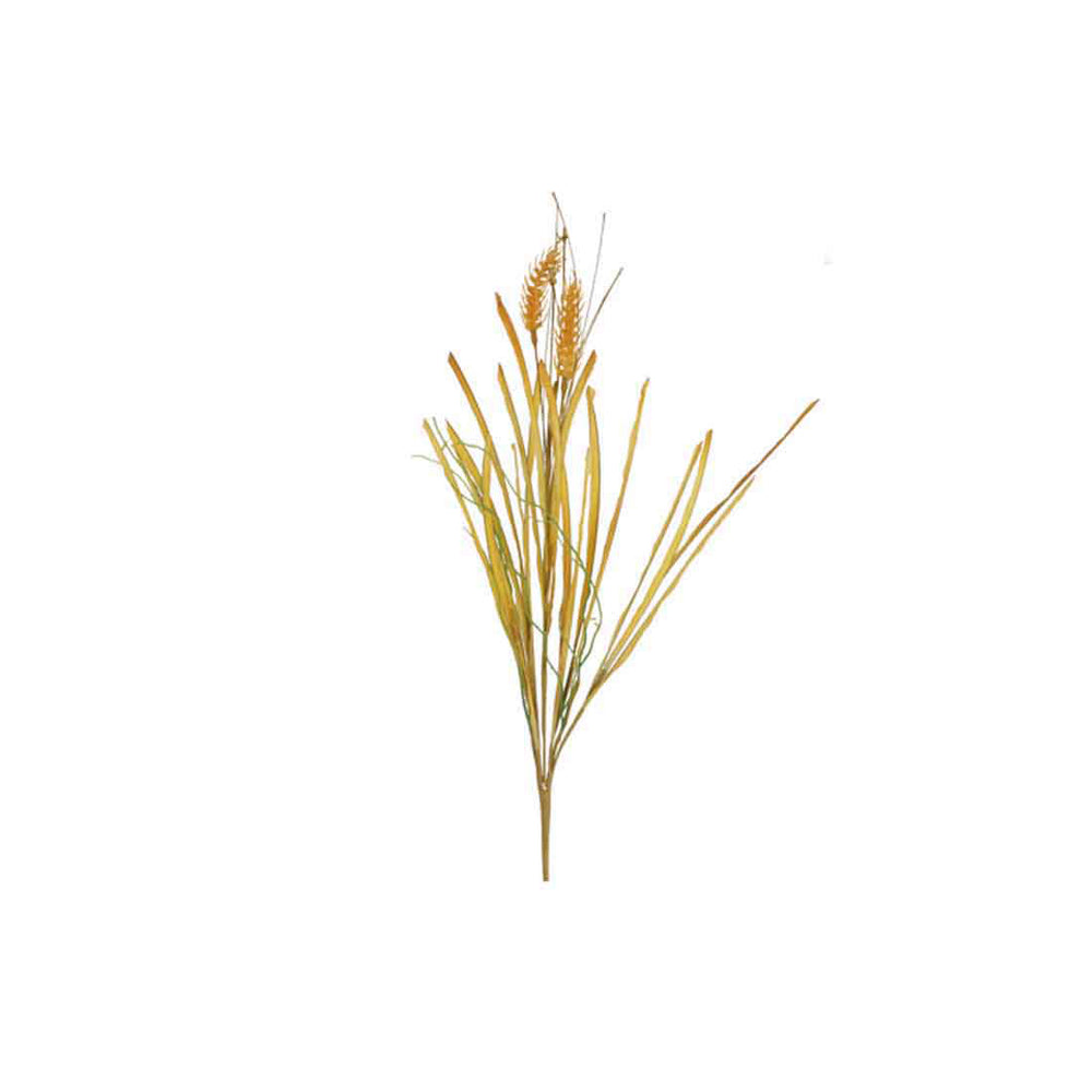 Dried-Look Wheat (65 cm)