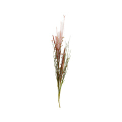 Dried-Look Erica Salmon