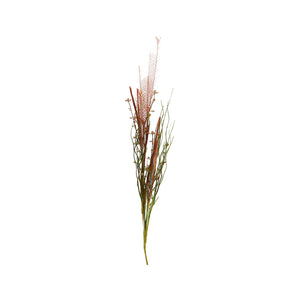 Dried-Look Erica Salmon