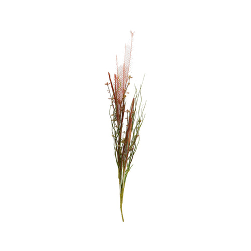 Dried-Look Erica Salmon