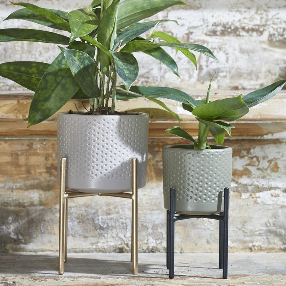 Black Ascot Plant Stand (14 cm)