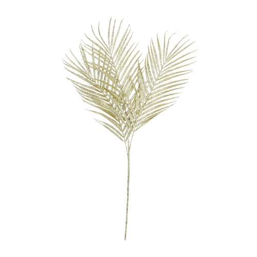 Gold Spray Fern (80 cm)