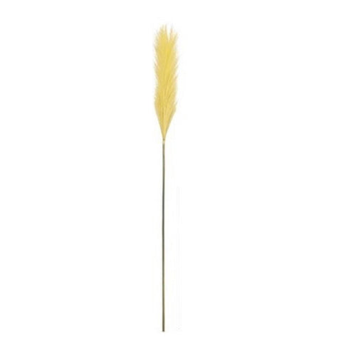 Yellow Plume Grass (104 cm)
