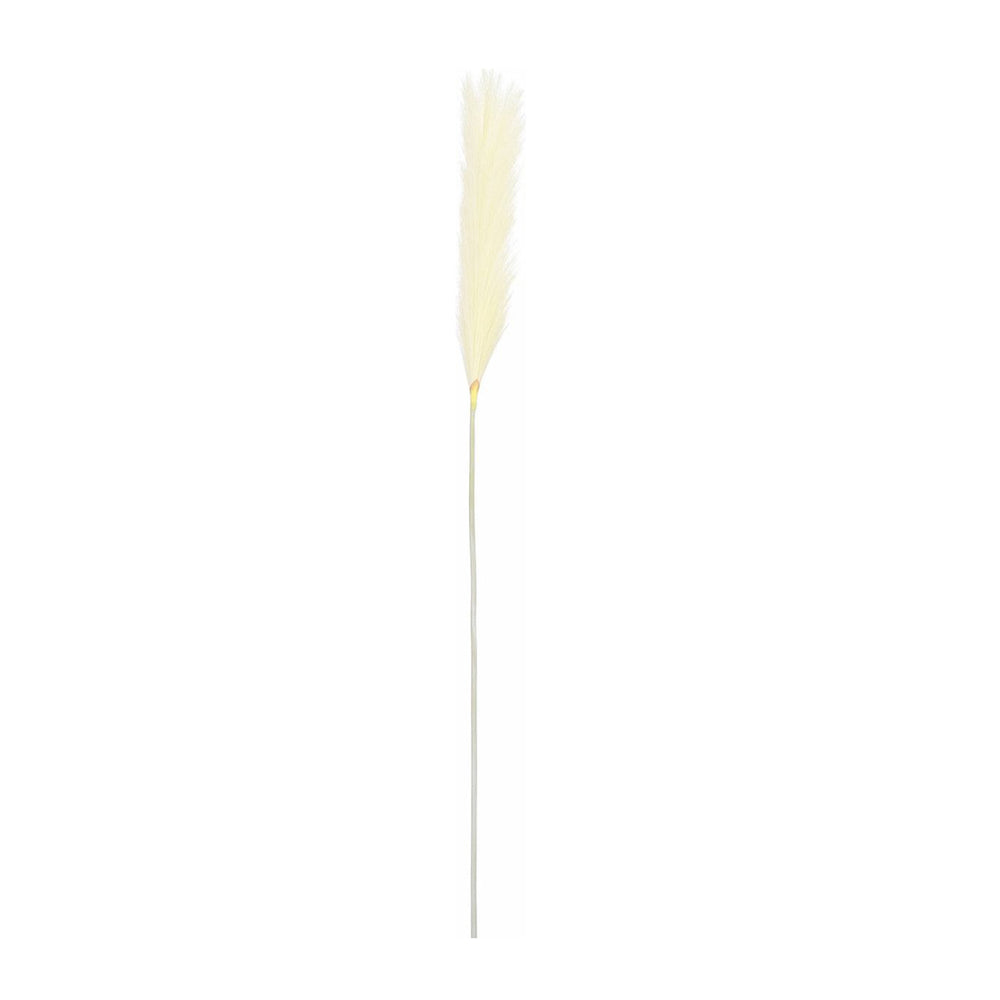 Beige Plume Grass (104 cm)