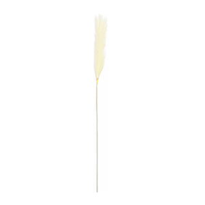Beige Plume Grass (104 cm)