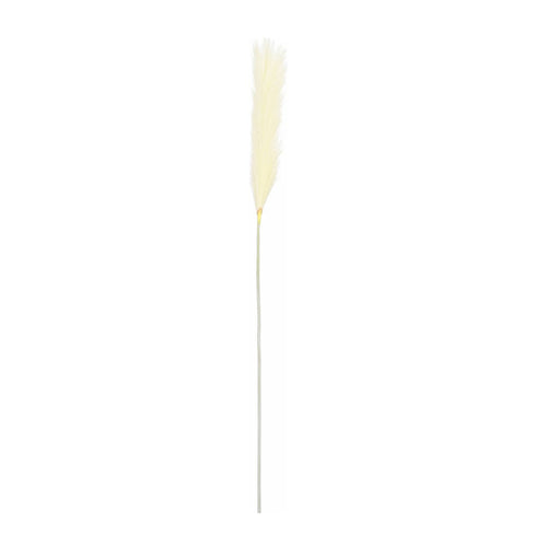 Beige Plume Grass (104 cm)