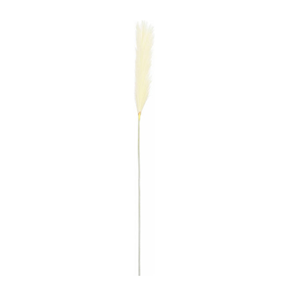Beige Plume Grass (104 cm)