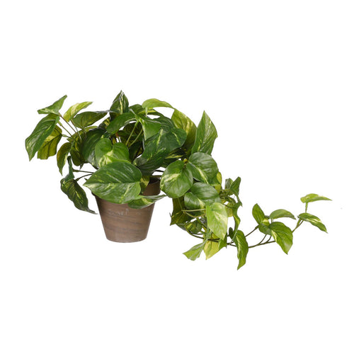 Artificial Green Pothos in Standard Pot (44 cm)