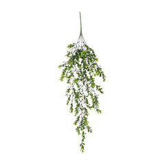 Green Hanging Boxwood (80 cm)