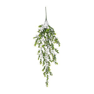 Green Hanging Boxwood (80 cm)