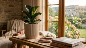 Nuovo Ribbed Round Beige Planter (24 cm)
