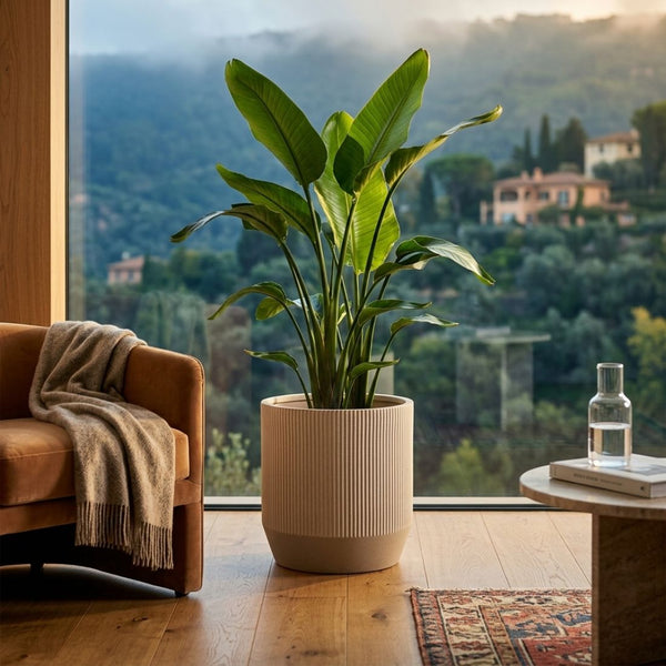 Nuovo Ribbed Round Beige Planter (36 cm)