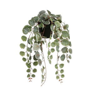 Artificial Variegated Ceropegia Woodii in Pot
