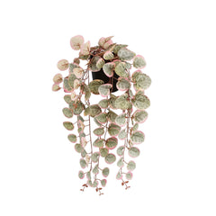 Artificial Pink Ceropegia Woodii in Pot (46 cm)