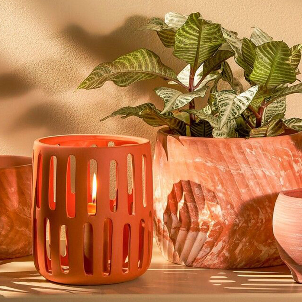Terra Hurricane (22 cm) - Each At