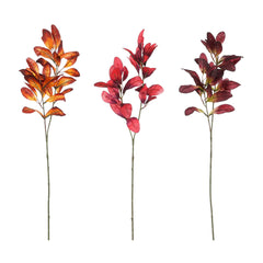 Limonium Branches (75 cm) - Each At