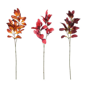 Limonium Branches (75 cm) - Each At