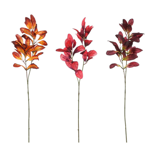 Limonium Branches (75 cm) - Each At