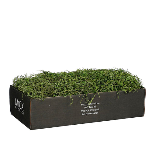 Tillandsia green 350gr - l38xw19,5xh9,5cm