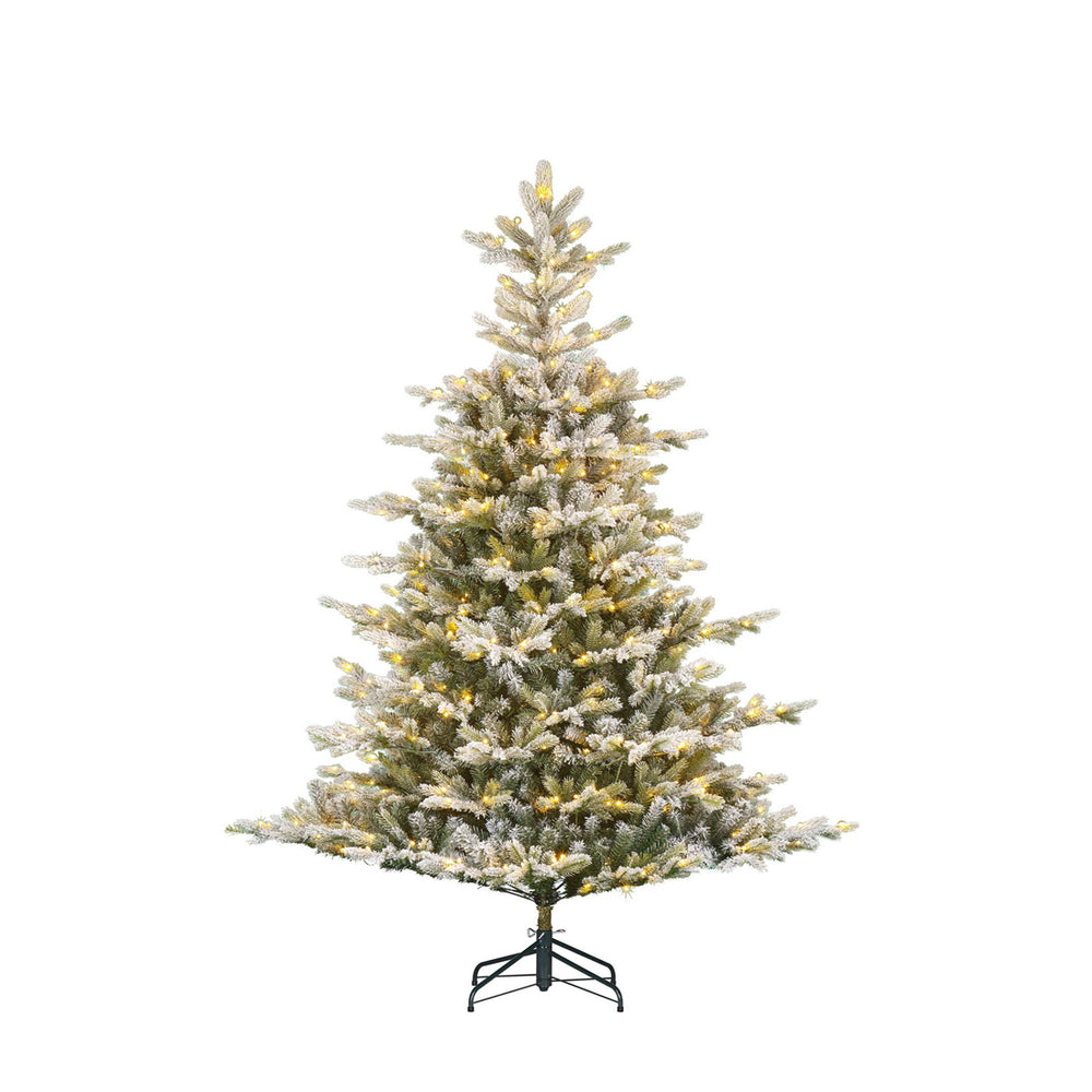 Forest Green Grimshaw Christmas Tree with LEDs (215cm)