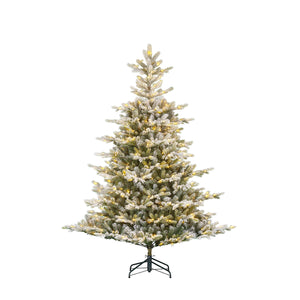 Forest Green Grimshaw Christmas Tree with LEDs (215cm)