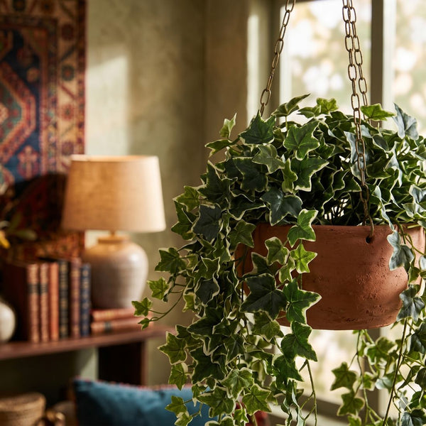 Artificial Variegated Hanging Ivy (UV Resistant)