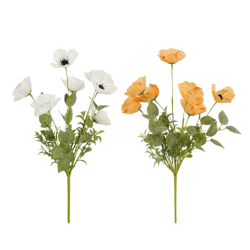 White Peach Poppy (53 cm) - Each At