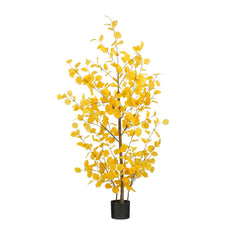 Yellow Eucalyptus In Pot (150cm)