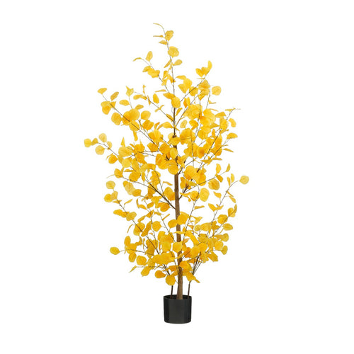 Yellow Eucalyptus In Pot (150cm)