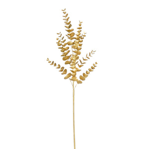 Eucalyptus gold - l101cm
