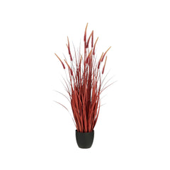Dogtail grass in pot red h120xd30cm