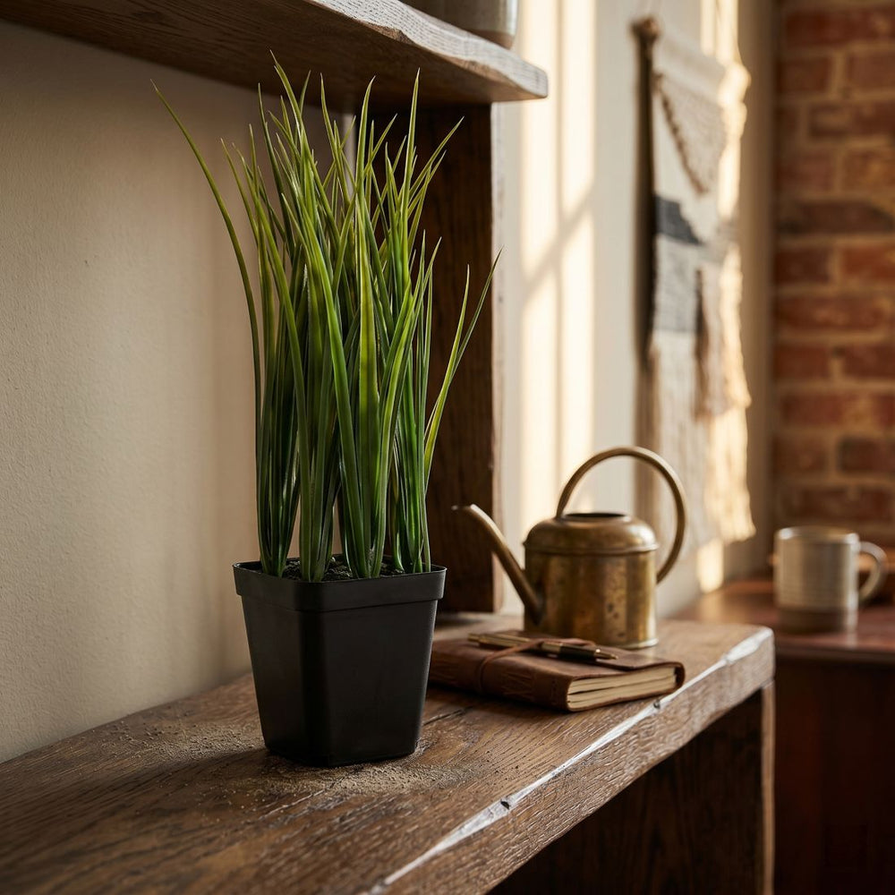 Chives in Pot (28 cm)