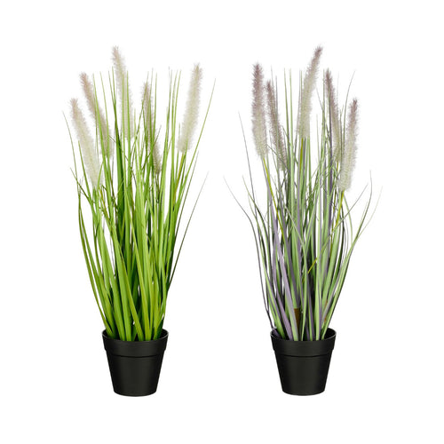 Artificial Mixed Dogtail Grass in Pot (53 cm)